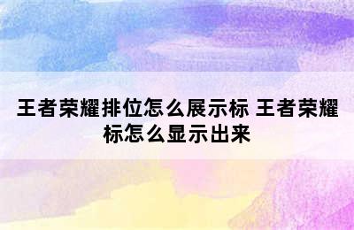 王者荣耀排位怎么展示标 王者荣耀标怎么显示出来